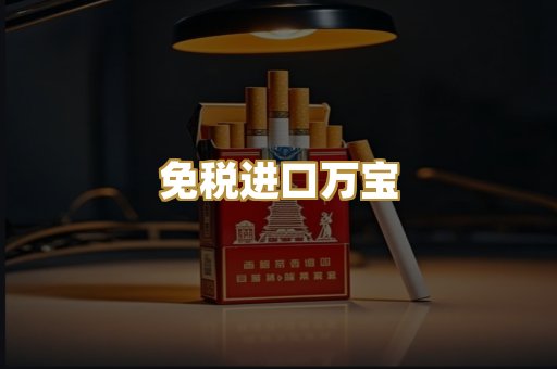 免税进口万宝